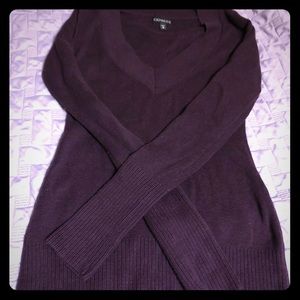 EXPRESS V-Neck Sweater